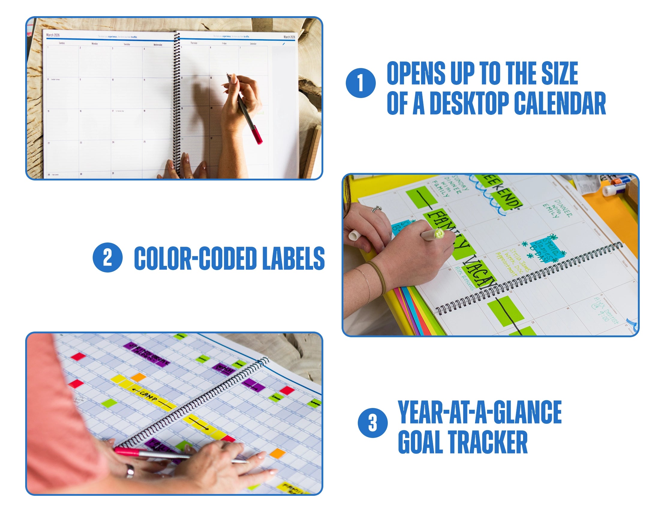 The Big Class Academic Planner