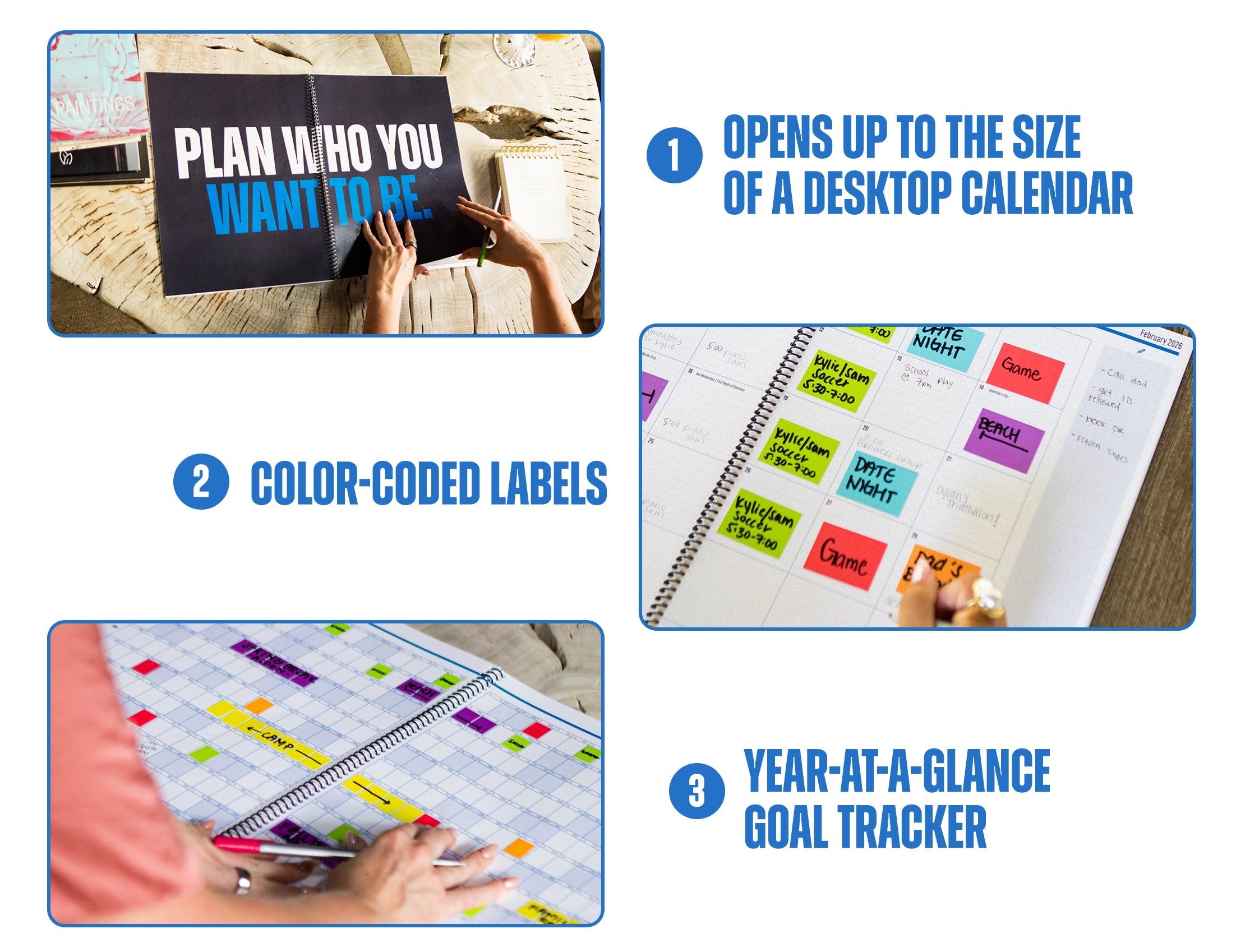 The Big A## Mid-Year Planner